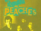 THE STRANGLERS 7