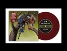 Sunny Day Real Estate Circa Survive 7