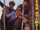 THE ANIMALS Boom Boom Dimples 10
