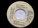 DAVID WERNER WHIZZ KID NEAR MINT RARE PROMO RCA OUT OF PGH  ROCK  45