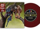 Sunny Day Real Estate Circa Survive 7