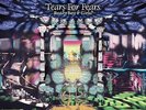 TEARS FOR FEARS READY BOYS & GIRLS 2014 RECORD STORE DAY RSD 12