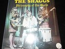 The Shaggs Philosophy of the World and The Shaggs Own Thing LP Vinyl OOP Rare