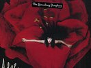 The Smashing Pumpkins - Adore Rare Doppel LP EX