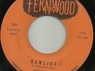 TARANTULAS - (LIKE.....?.....SPELLBOUND) - CLASSIC MEMPHIS ROCKABILLY - FERNWOOD