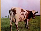 PINK FLOYD - Atom Heart Mother - '70 UK 1st press Gramophone NO EMI Box - 1G/1G