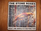 THE STONE ROSES -  WHAT THE WORLD IS WAITING FOR / FOOLS GOLD 12