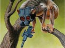 CIRCA SURVIVE SUNNY DAY REAL ESTATE 7
