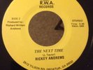 RICKY ANDREWS - The Next Time - RWA RARE CROSSOVER SOUL 45 OBSCURE