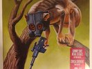Sunny Day Real Estate / Circa Survive Split 7