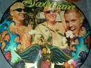 SUBLIME vinyl 
