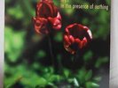 Lilys – In the Presence of Nothing LP Vinyl LP SpinART Records