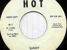 LARRY HALL 45 Sandy / Lovin' Tree HOT Teen ROCKABILLY Near Mint WL Promo #CC238