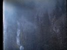 WOLVES IN THE THRONE ROOM Diadim Of Stars 12