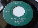 THE COMPANIONS RARE DOO WOP ON DOVE RECORDS 240 OH WHAT A FEELING B/W FALLING