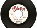 AUGIE RIOS, 60s  RARE TEEN ROCK AND ROLL 45, SHELLEY LABEL