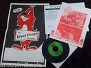 1960'S KANSAS ROCK BAND the blue things,THE RED DOGS,POSTER,lp,cd,RECORD....