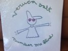 veruca salt 