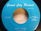 HOLLIDAYS northern soul 45   I Lost You/Easy Living   Groove City VG+
