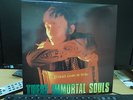 These immortal souls I'm never gonna die again lp vinyl inner Rowland S. Howard