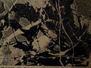 THE STONE ROSES, SHE BANGS THE DEMOS, VINYL ALBUM