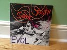 Sonic Youth - Evol vinyl LP