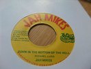 Jah Mikes DOWN IN THE BOTTOM OF THE WELL Orig JA Press Killer ROOTS EX+