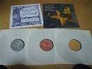 The Smashing Pumpkins Mellon Collie and the Infinite Sadness 3 LP Near Mint