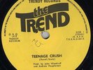 THE TREND - Teenage Crush / Cool Johnny - Power-Pop