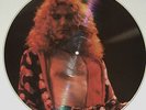 Led Zeppelin Robert Plant LP Record Picture Disc Live NYC Central Park 1969
