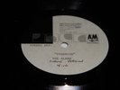 THE ALARM 10 INCH ACETATE 45 