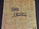 AMERICAN SPRING S/T LP Rare UK Press United Artists Brian Wilson Beach Boys