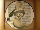 BLONDIE promo picture pic disc lp ON THE ROAD WITH BLONDIE debbie harry nude