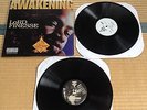 free shipping Lord Finesse ?– The Awakening limited  2lp US original