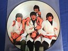 THE BEATLES - YESTERDAY AND TODAY PICTURE DISC - BUTCHER  COVER MINT VINYL
