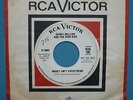 DENNY BELLINE & THE RICH KIDS   1966 HAMMOND GARAGE   Hear   PROMO