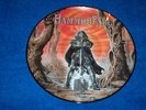 PICTURE LP - HAMMERFALL - GLORY TO THE BRAVE