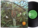 RARE Private Label Dragonfly Psych LP Megaphone Records CA 1969