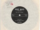 FLY ON THE WALL Devon Dumb EP Rare UK DIY PUNK 7