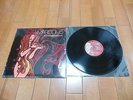 MAROON 5 /SONGS ABOUT JANE LP free shipping 5 OneRepublic JASON MRATZ