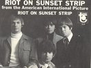 THE STANDELLS- 