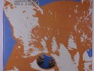 CAT STEVENS: Sitting LP rare Rock & Pop