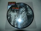 David Bowie ROCK'N'ROLL SUICIDE picture disc RSD 2014 Record Store Day