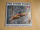 The Stone Roses - What The World Is Waiting For 7