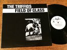 THE TRIFFIDS:Field Of Glass.VERY RARE Aussie/OZ PROMO 12