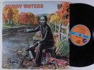 MUDDY WATERS Self Titled CHESS 2XLP VG++