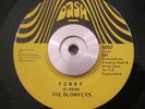 Funk/Soul 45 The Blowflys - Funky/Funky In The Hole on DASH ORIG NM Top copy