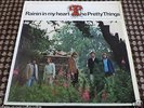 THE PRETTY THINGS RAININ' IN MY HEART 7