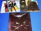 YELLO  /  C.C.CATCH  / THE FLIRTS     3 LP  -    TOP  SONGS 