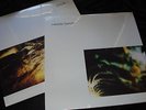 MAURIZIO BIANCHI  s.f.a.g. 81 LP Italian post-industrial mauthausen orchestra